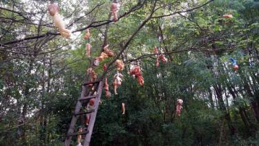 ляльки на дереві фото