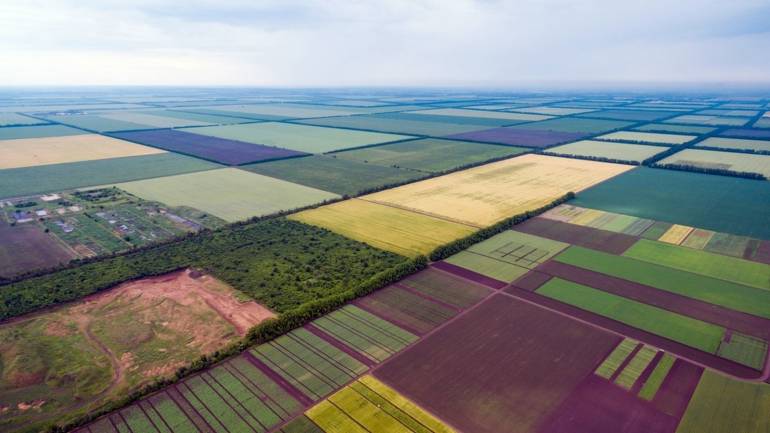 земельна реформа фото