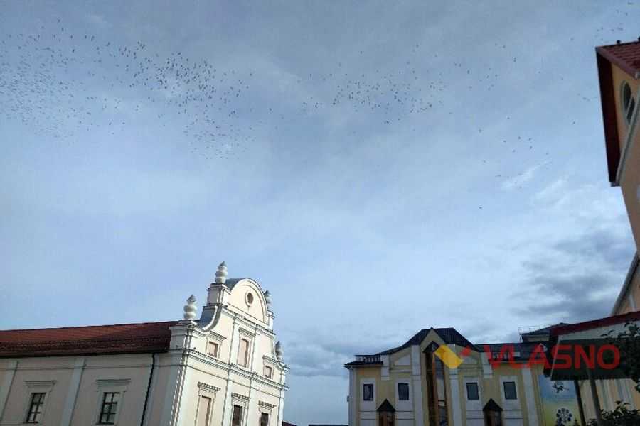Сотні лелек здійнялись у вінницьке небо: птахи пророкують довгу і теплу осінь 