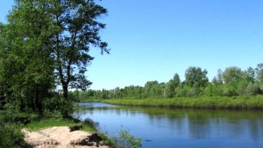 Два &laquo;аграрні&raquo; депутати райради орендують ставки у Піщанському районі