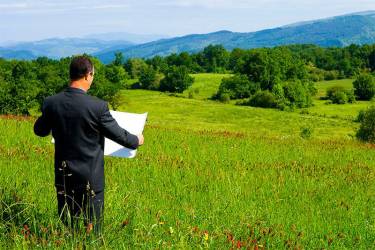 депутатські гектари фото