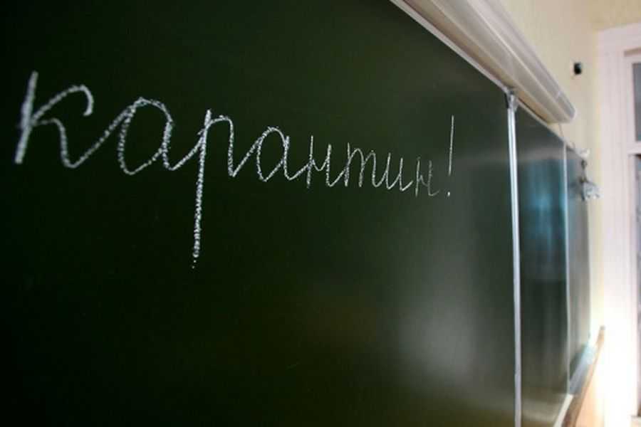 карантин фото