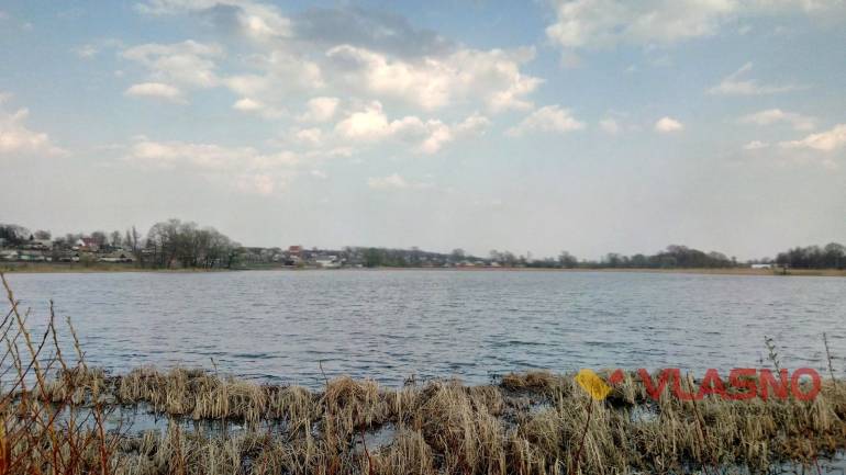 У селі на Вінниччині влаштовують рибні жнива