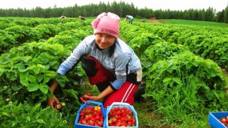 Українцям-заробітчанам розповіли, як отримати пенсію в Україні