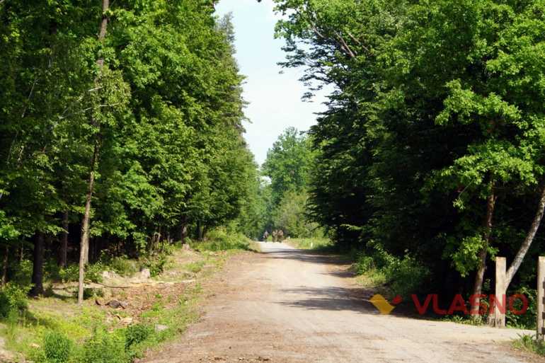 дорога біля калинівського арсеналу фото