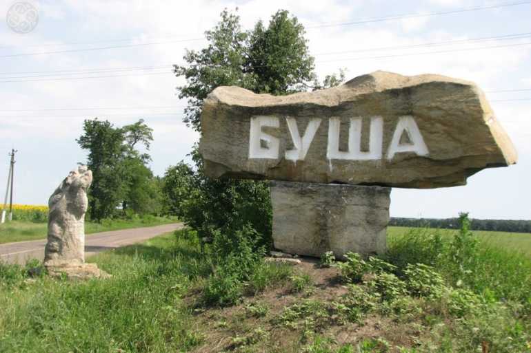 землі в Буші фото