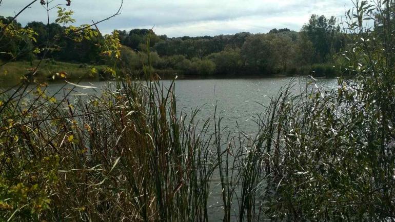Водолази зі ставка у Барському районі виловили тіло чоловіка