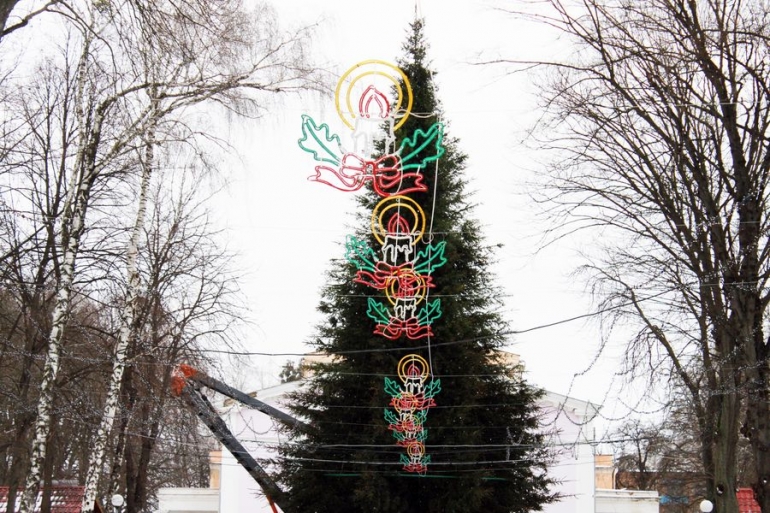 Для вінницької ялинки зрубають триста дерев