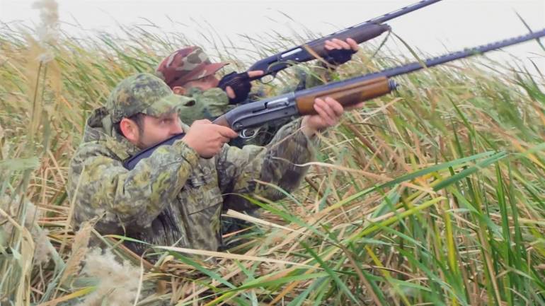 На Вінниччині стартує сезон колективного та облавного полювання