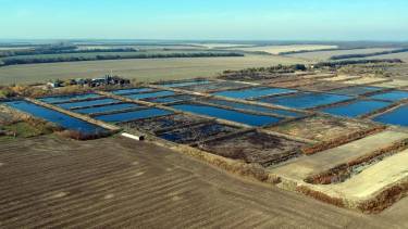 бардополя у Тростянці фото