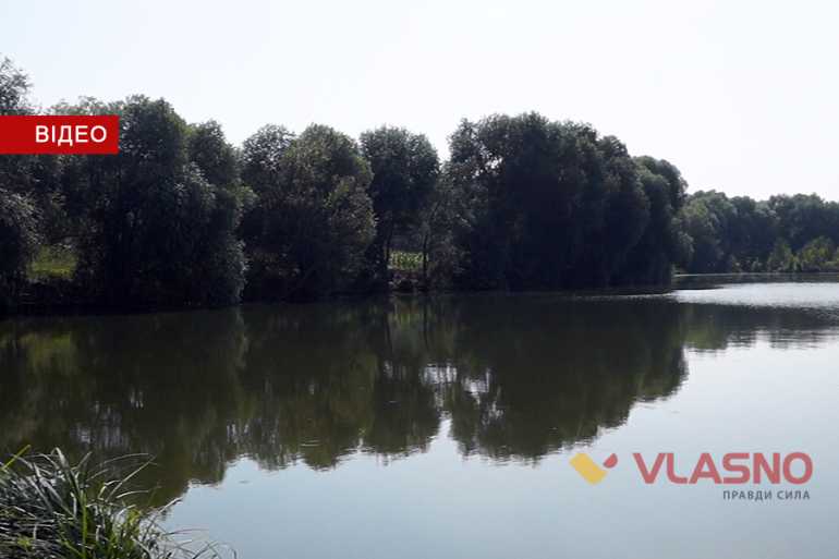 оренда ставків фото