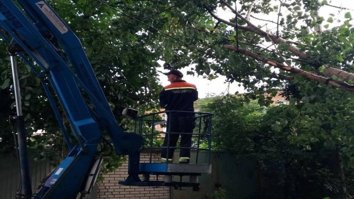 У Вінниці на балкон житлового будинку впало дерево