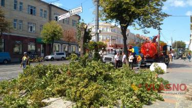 У центрі Вінниці зрізали дерево, щоб ліквідувати прорив труби (ФОТО)