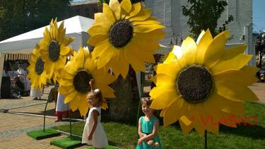 Вишиванки, народні майстри, художники та безліч фотозон: День Незалежності у Вінниці (ФОТО)