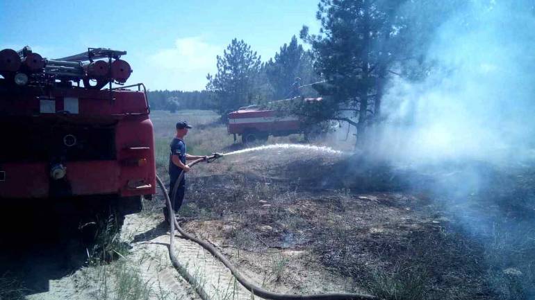 На Херсонщині за три доби вигоріло понад 300 гектарів лісу