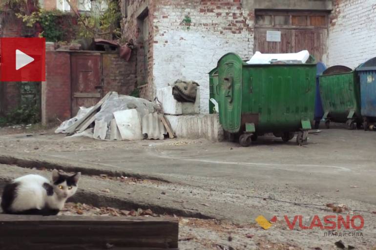 Сморід та бруд у дворі через необлаштований сміттєвий майданчик на Київській**