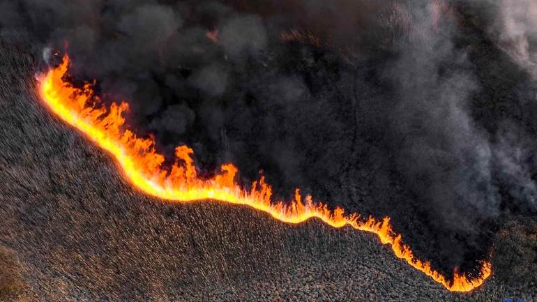 Пожежа знищила п'ять відсотків Чорнобильського заповідника
