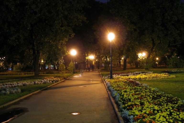 темний парк фото