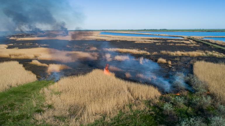 На Вінниччині горів 1 гектар трави