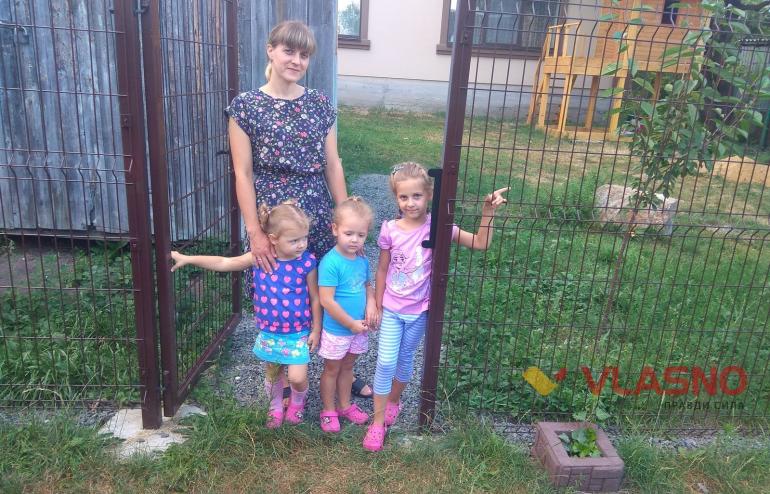 Свині (не) винні: мешканці дачного масиву під Вінницею потерпають від сусідства з тваринами