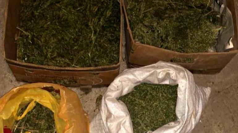 У мешканця Вінницького району знайшли кілограм коноплі