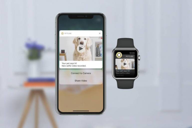 Український стартап Petcube представив функцію відеодзвінків від домашніх улюбленців