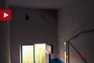 грибок у будинку на вулиці Гонти 21 фото