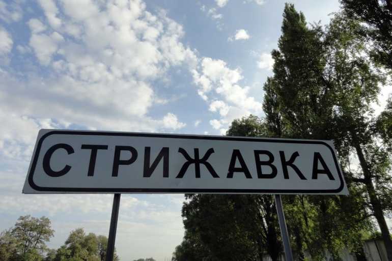стрижавка фото