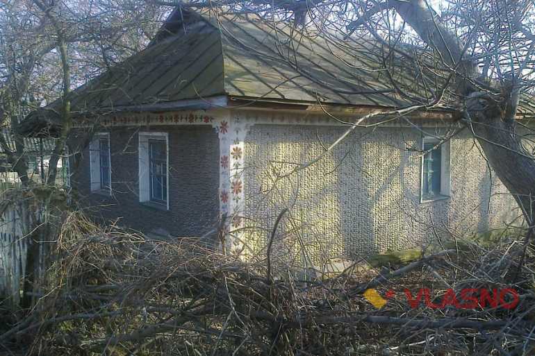 хата з черепашок у селі Орлівка фото