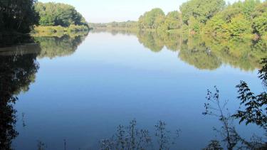 Сільські, районні депутати, фермери, &laquo;Укрзалізниця&raquo;, рибацькі спілки та колишній голова РДА: хто орендує ставки у Козятинському районі
