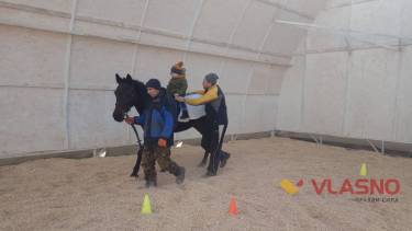 Коні допомогли 80 маленьким вінничанам покращити здоров&rsquo;я