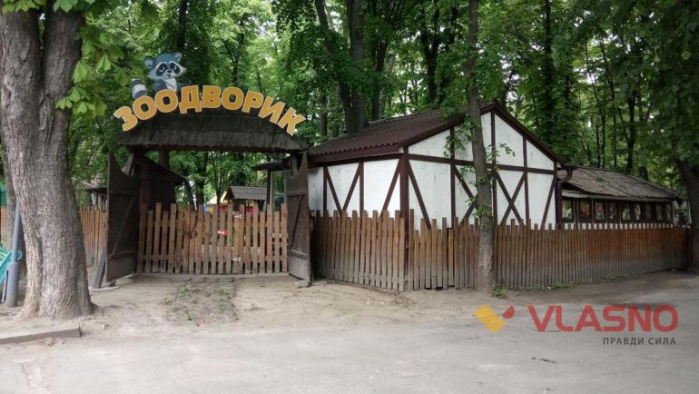 За час карантину у вінницькому зоодворику народилися поросята, козлята, кролики та &ldquo;вийшла заміж&rdquo; лама (ФОТО)