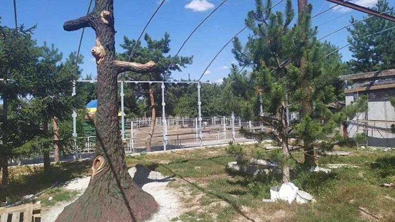 Полярним вовкам - струмок, рисям - водоспад: у вінницькому зоопарку будують вольєри хижакам