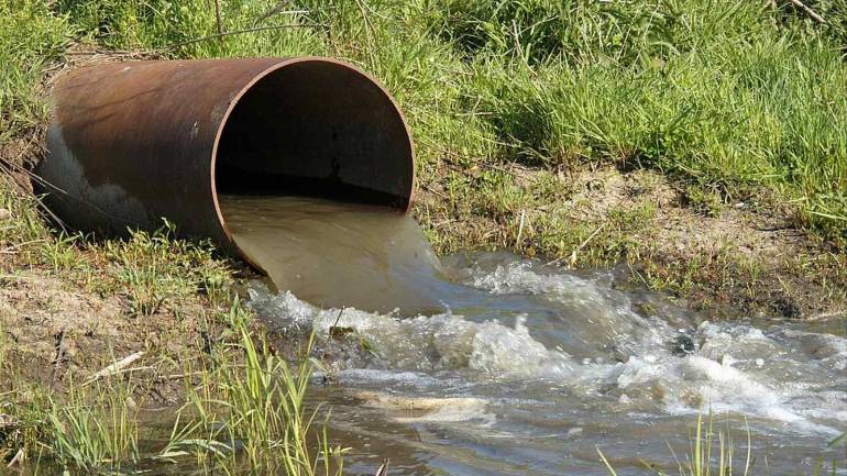 На Вінниччині через яблука псується вода у річці