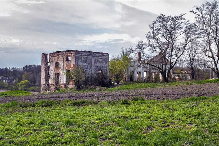 маєток в Андрушівці фото