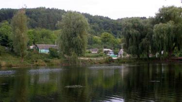 Підприємець з Києва та сільські депутати: хто орендує ставки у Могилів-Подільському районі