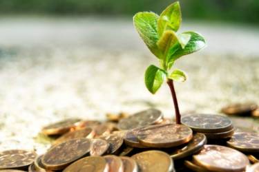 фермерство - гроші фото