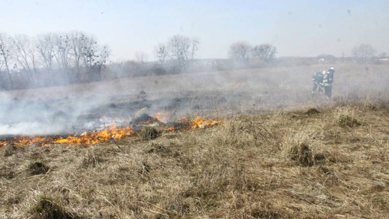 Близько 700 квадратних метрів сухої трави загорілось на Вінниччині