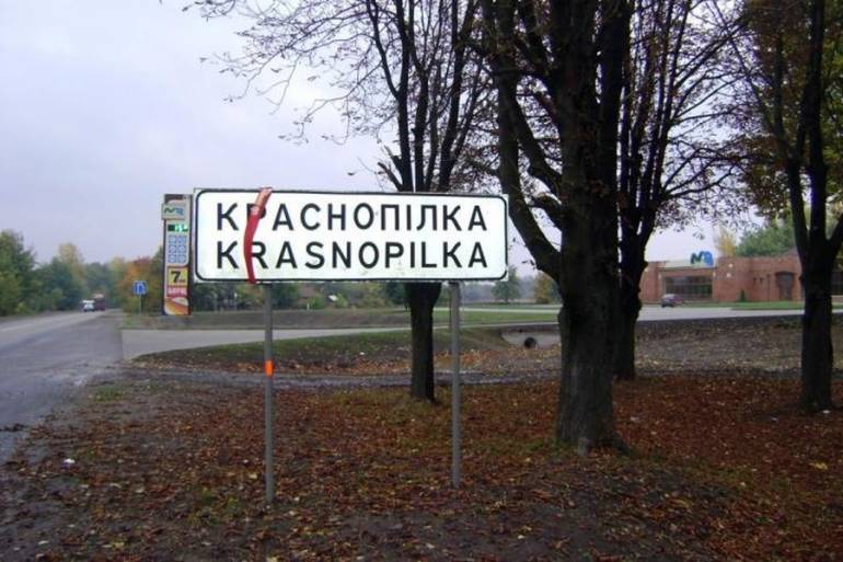 Краснопілка фото