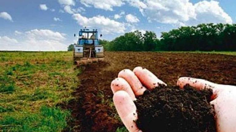 Село на Вінниччині здає в оренду 20 гектар сільськогосподарських земель за 3,5 тисячі гривень
