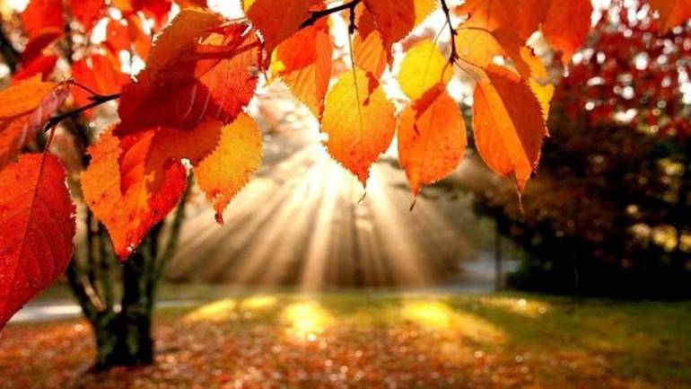 Завтра на Вінниччині очікується спека до 23 градусів