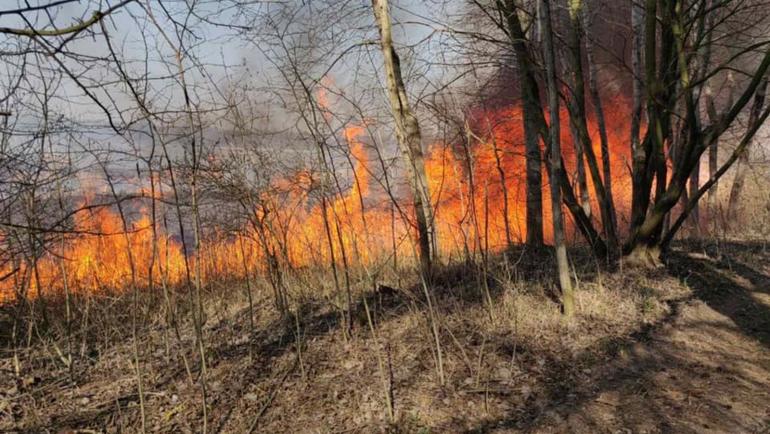 На Вінниччині за добу згоріло 0,5 гектарів сухої рослинності