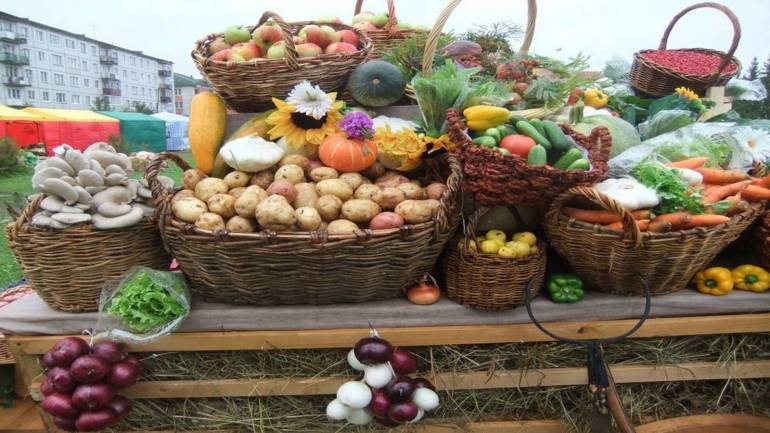 На 19 мільйонів продано продукції на ярмарках у Вінниці
