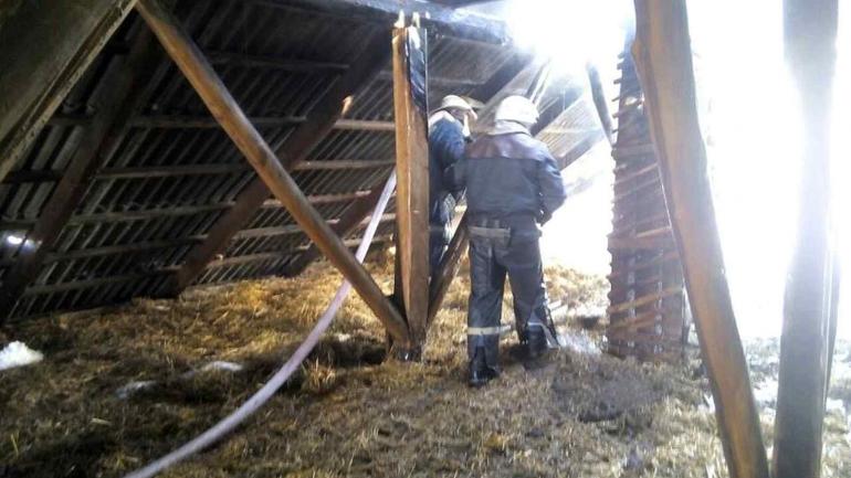 У Гайсинському районі в господарчій будівлі згоріла птиця