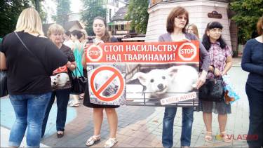 Про звірства живодерів розповіли у Вінниці