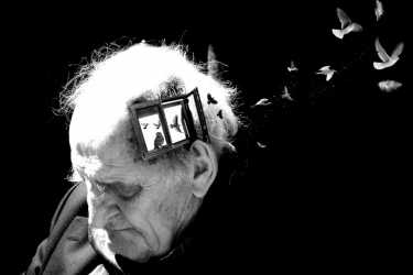 маразм фото