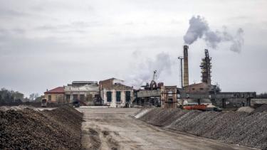 Ціна росте, виробництво падає, екологія псується: стан цукрової галузі Вінниччини на кінець 2020 року