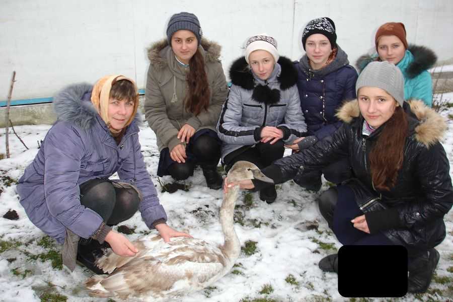 фото до Дня доброти 