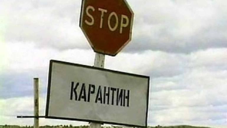 Сказ у диких лисиць: чотири села на Вінниччині оголосили карантин