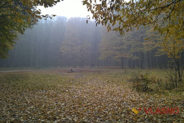 Лісопарк у Вінниці фото